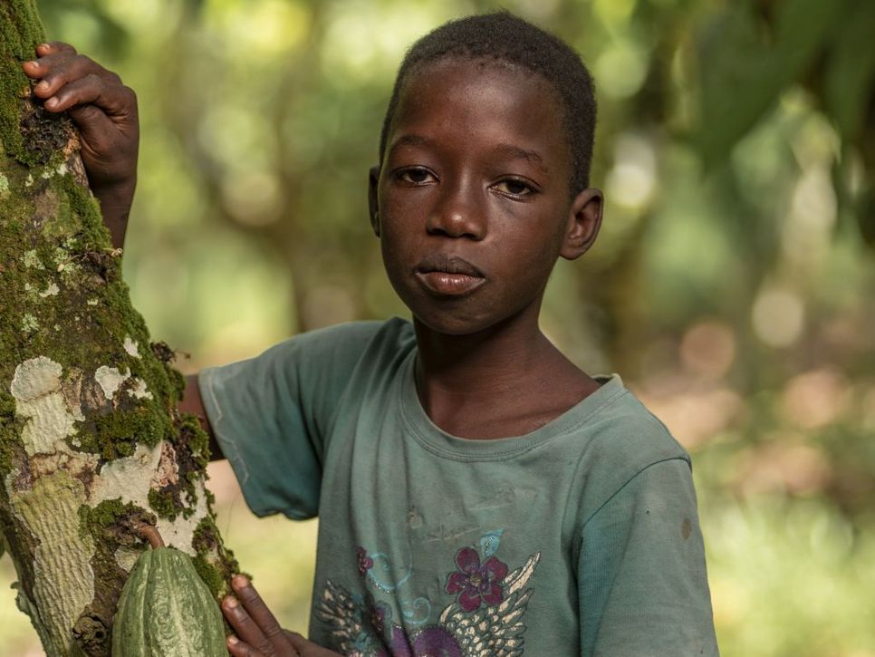 Michael Ansah, 11 Jahre, aus Ghana, blickt in die Kamera - am Baum neben ihm eine Kakaoschote